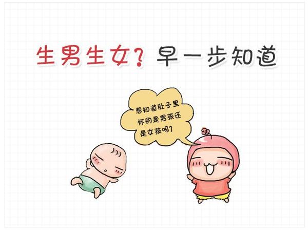 香港y-dna母血检测性别