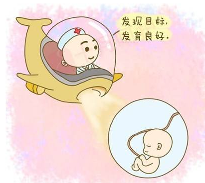 孕妈做香港敏儿安无创还能知道宝宝男女？  