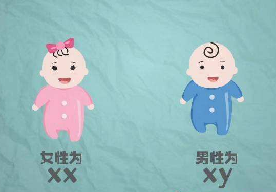 香港抽血验Y测男女其实不麻烦，相反很简单  