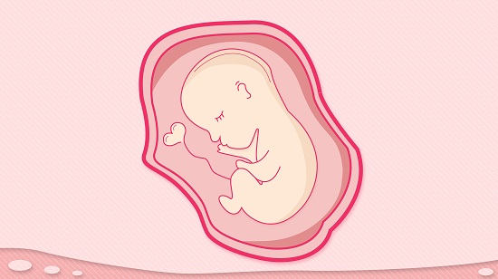 怀孕两个月胎儿有多大？